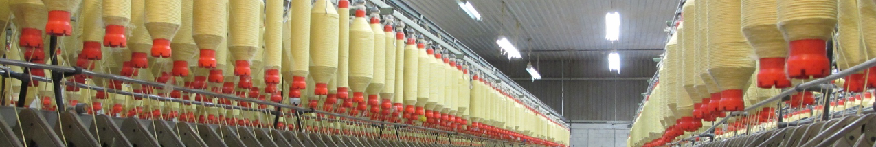 Aramida MCR Safety México